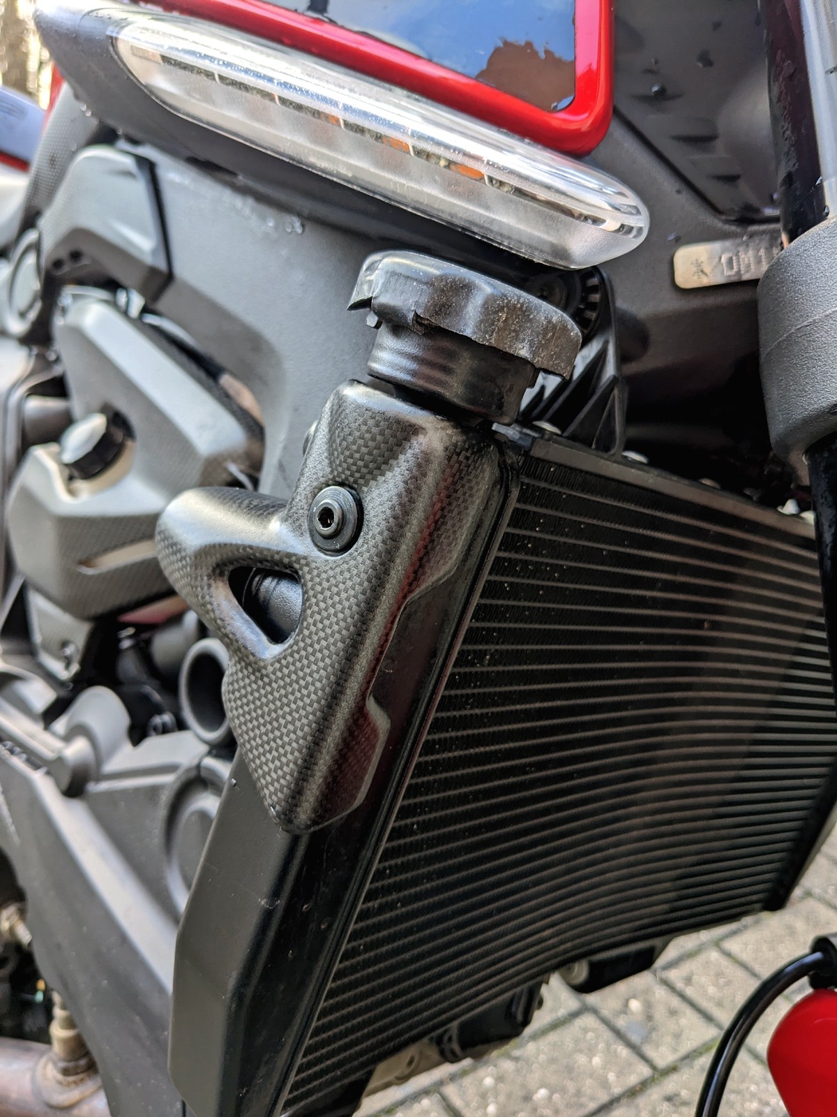 Pro Guard radiator Carbon 